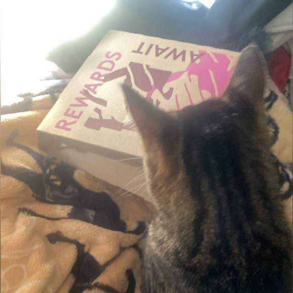 freddy - Picture 8 of 16